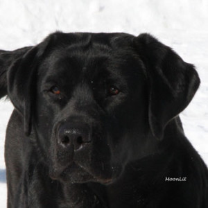 Jadis_5471_1-20100305-web